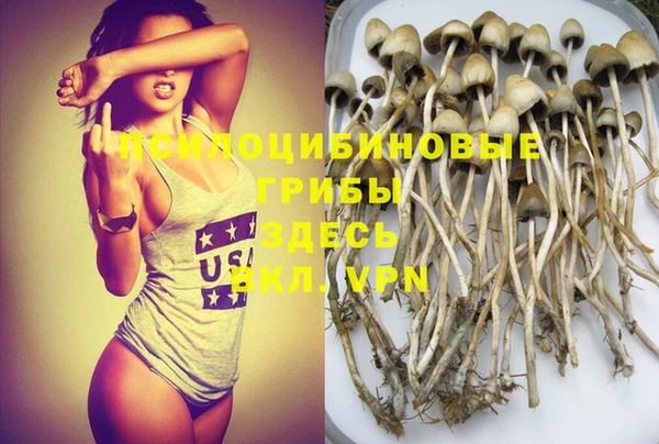 ECSTASY Рославль