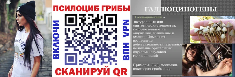 Псилоцибиновые грибы Cubensis  Белая Калитва 